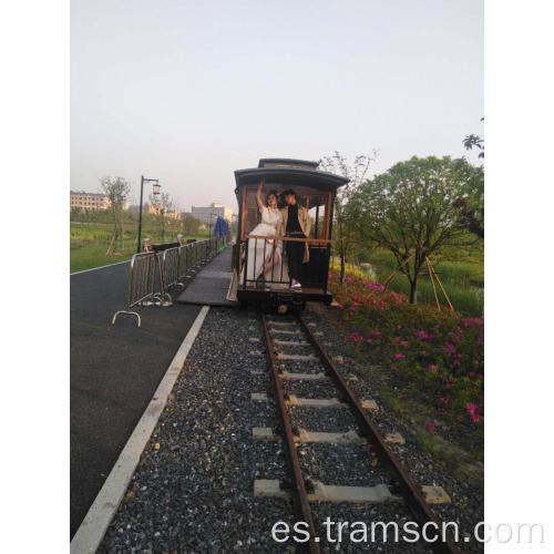 Pistas de manchas escénicas al aire libre Tren eléctrico de turismo